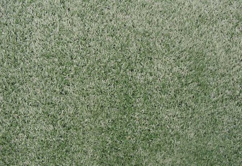 Kunstgras 5x2m (10m)